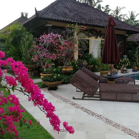 Villa Gusmania Кандидаса Экстерьер фото
